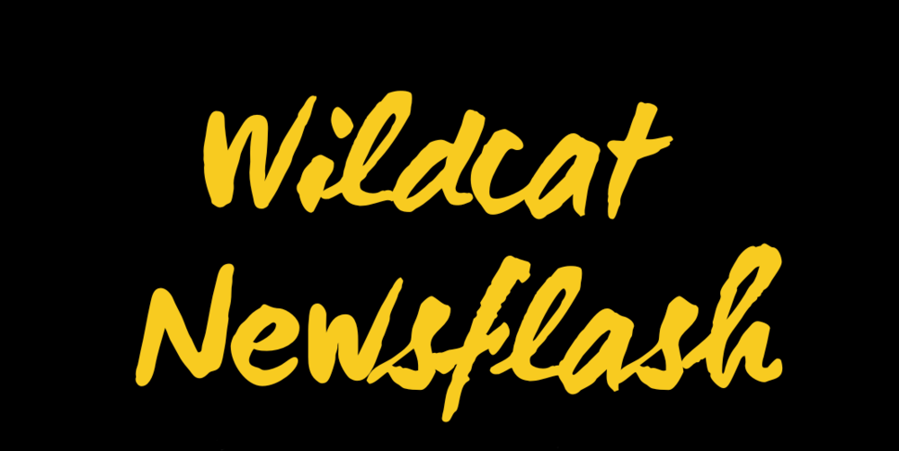 Wildcat Newsflash graphic