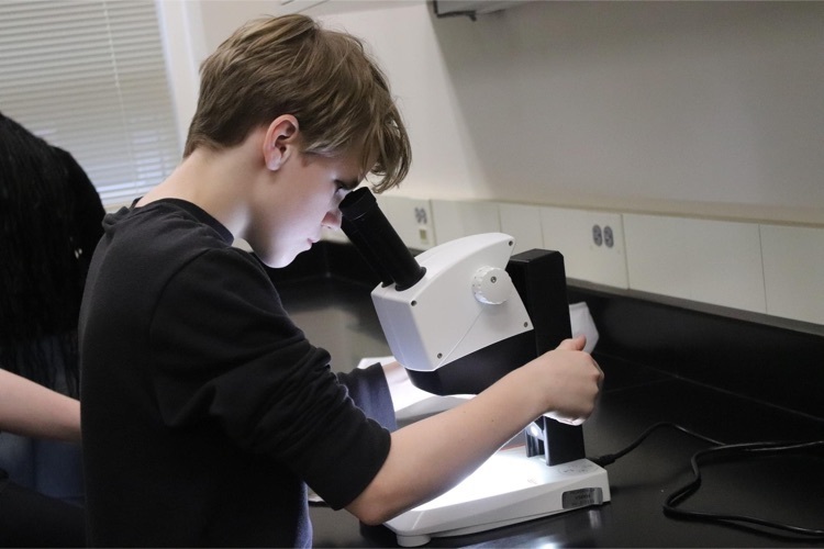 MMS student at microscope