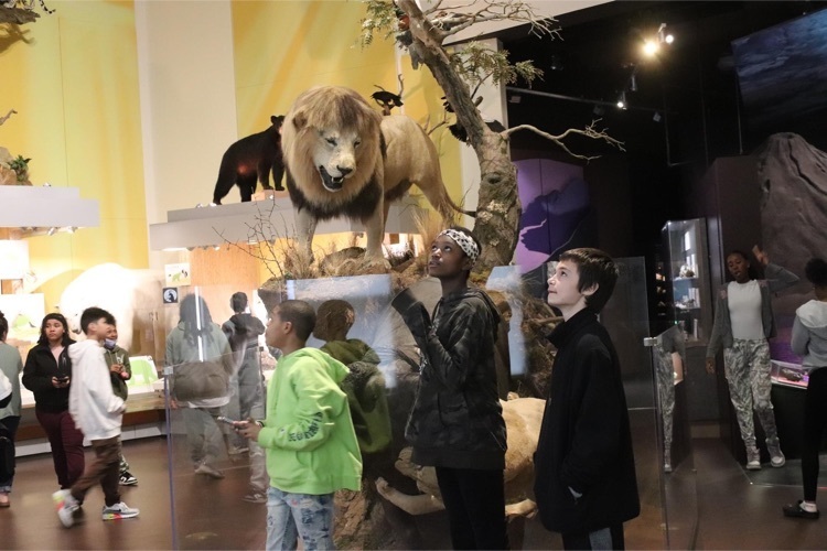 MMS students in Virginia Museum of Natural History Gallery