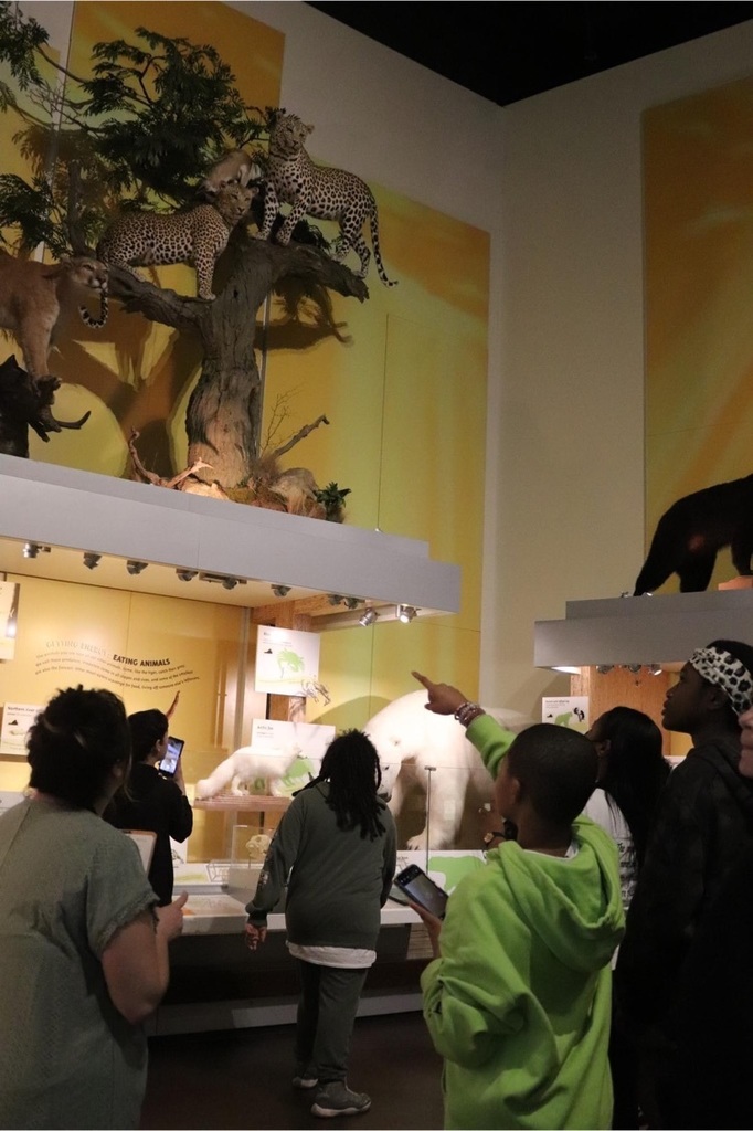 MMS students in Virginia Museum of Natural History Gallery
