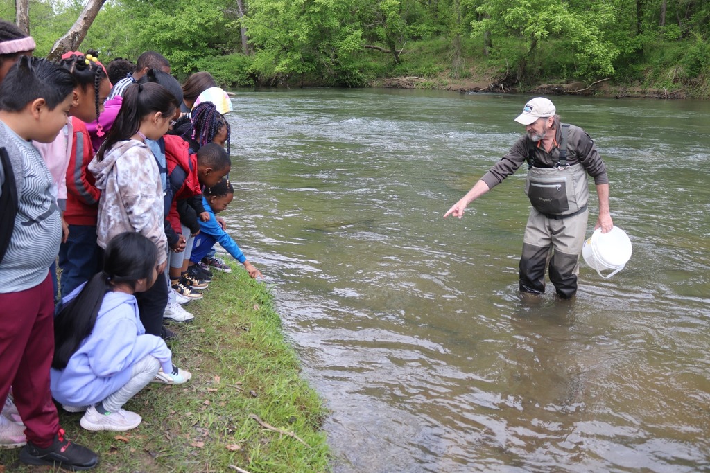 Students line the riverbank as a DRBA employee standing in the river points to schooling trout