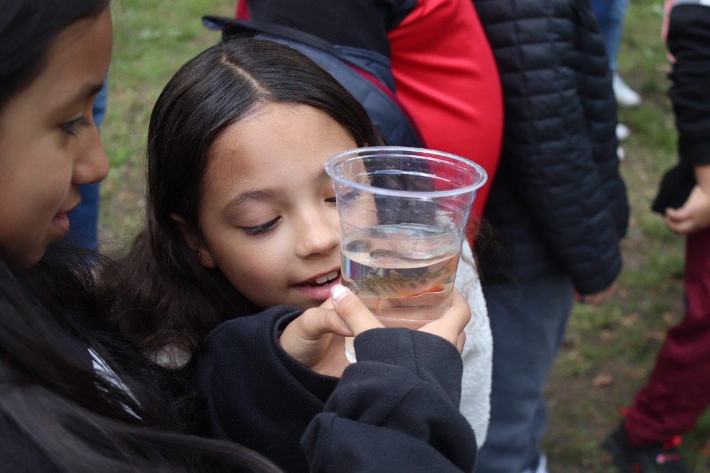 AHES students look at a brook trout in a plastic cup
