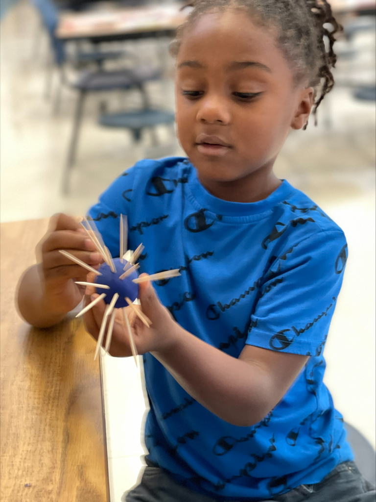 A Clearview student holds a sea urchin made out of playdough and toothpicks